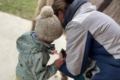 Ânes et tout-petits  (0 - 4ans) - Exploregion