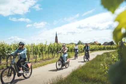 Balade à vélo sur la Route des Vins - Exploregion