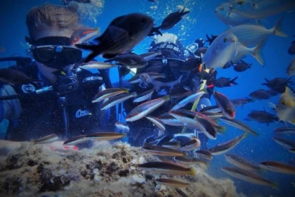 Baptême de plongée recycleur scr mares horizon - Exploregion
