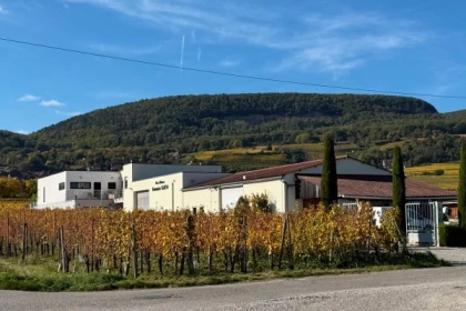 Cave de Noël – Vins d’Alsace bio & Délices de Fêtes - Exploregion