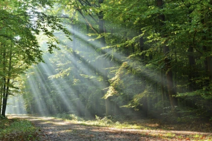 CHASSE AUX TRÉSORS DIGITALE À PIED OU À VÉLO - Exploregion