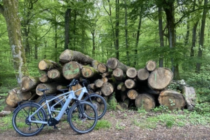 City E-Bike : idéal pour les passionnés de nature - Exploregion