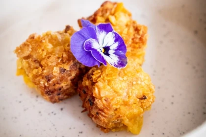 Cuisine Végétale - Exploregion