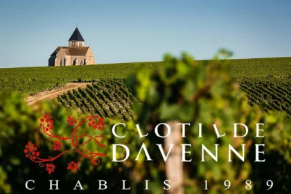 Visite et dégustation Pinot&Rouges Davenne en Anglais - Exploregion
