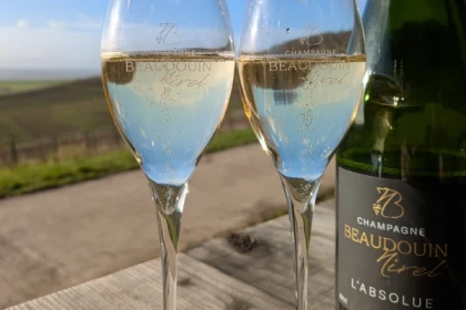 Dégustation 1 cuvée dans le vignoble - Nogent l'Abbesse - Exploregion