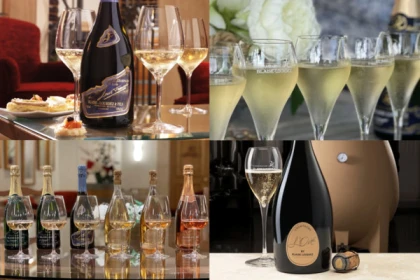 Dégustation au Champagne BLAISE LOURDEZ - Exploregion