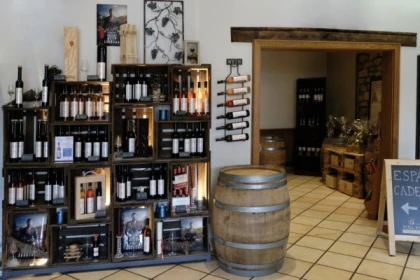 Dégustation - Caves des vignerons de Grevenmacher - Exploregion