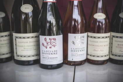 Dégustation Chablis au Domaine Clotilde Davenne en Anglais - Exploregion