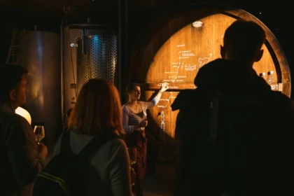 Dégustation de 5 vins et visite de cave Immersive - Exploregion