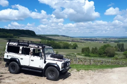 Dégustation de champagne, balade panoramique, vignoble - Exploregion