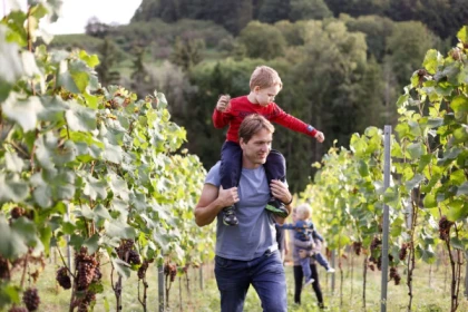 Explorez la Moselle enchantée et ses vignobles lors d'une excursion journée - Exploregion