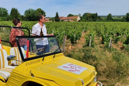 Balade des Grands Crus en e-Mehari et dégustation de Chablis - Exploregion