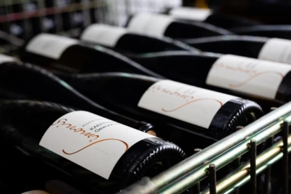 Initiation à l'art de la dégustation à Ammerschwihr - Exploregion