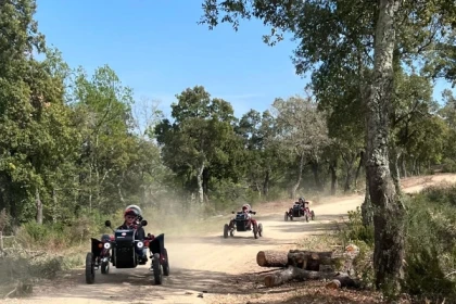 Insolite à Montauroux : Découverte nature en buggy électrique : Le Swincar - Exploregion