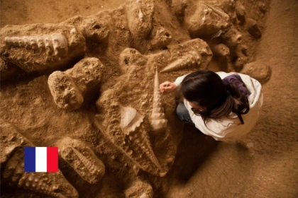 La Cave aux Coquillages, la cave la plus insolite de Champagne - Exploregion