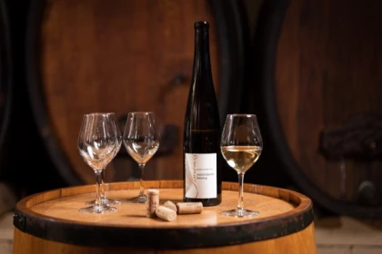 Le vigneron vous raconte. Les vins vous parlent. - Exploregion