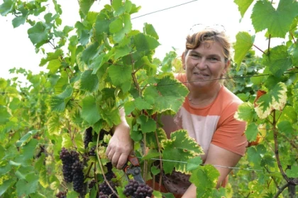 Osez le vin au féminin - Exploregion