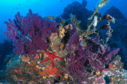 Formation PA-40 - Exploregion