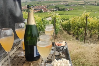 Pique-nique Dégustation dans le vignoble de champagne - Exploregion