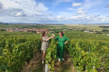 Pique-nique Dégustation dans le vignoble de champagne - Exploregion