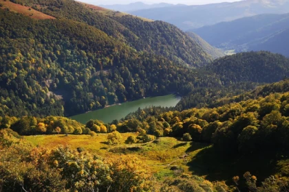 Randonnée à la découverte des animaux - Exploregion