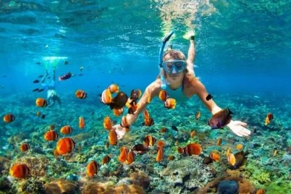 SARDINAUX EVASION - Location de matériel de snorkeling - Exploregion
