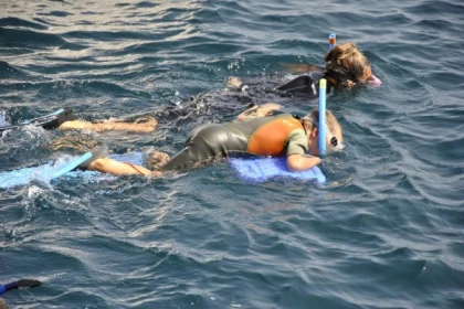 snorkeling - Exploregion