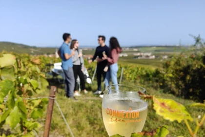 Survol du vignoble balade et dégustations / ½ journée. - Exploregion