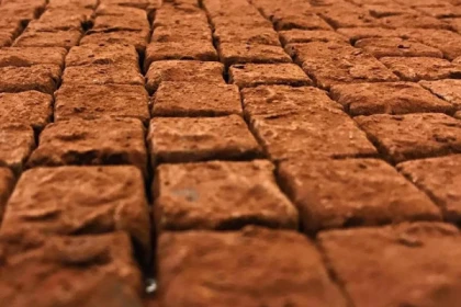 Tour Gastronomique Bordeaux - Exploregion