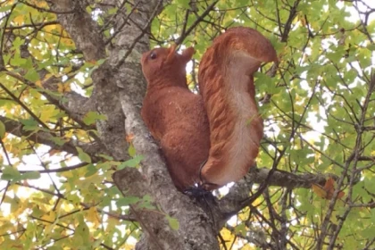 Jeu de piste des hauts de Baume Obscure - Exploregion