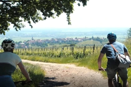 Vélo électrique, Pique-Nique & Vin - Exploregion