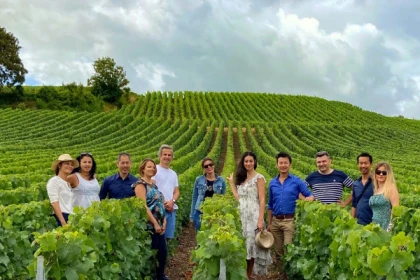 Vendangeur d'un jour à Rilly la Montagne - Exploregion