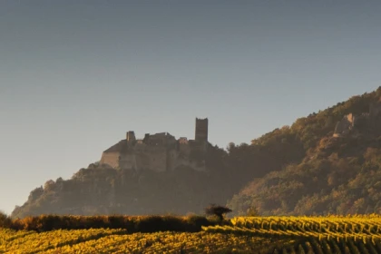 vignoble Alsacien et dégustation - Exploregion