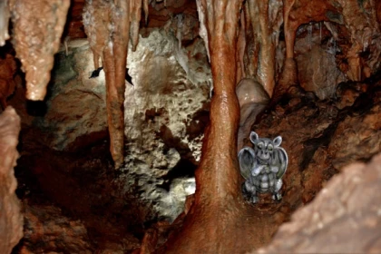 Combiné chasse au trésor grotte et forêt - Exploregion