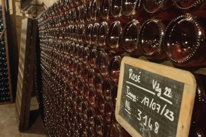 Visite de cave et balade dégustation Millésimé, vignoble - Exploregion