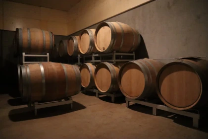 Visite de cave et dégustation de champagne - Exploregion