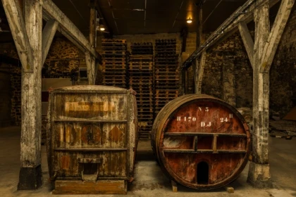 Visite de cave Gallo-romaine (UNESCO) + 2 dégustations - Exploregion