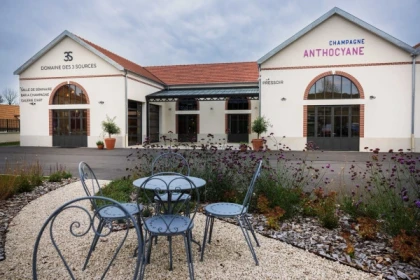 Visite & dégustation de 3 champagnes - Exploregion