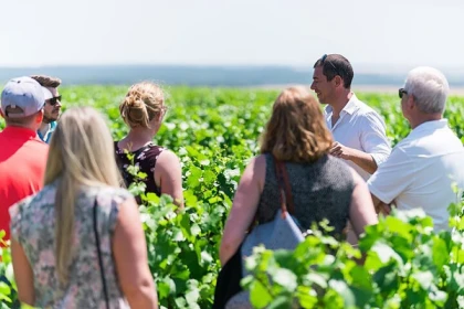 Visite et dégustation Chablis au Domaine Clotilde Davenne en français - Exploregion