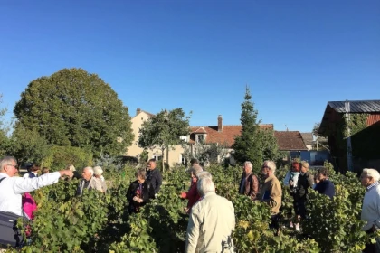 Visite et dégustation Chablis Davenne en Anglais - Exploregion