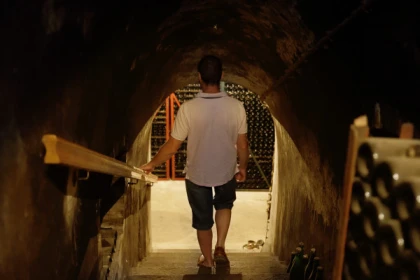 Visite Immersion - Champagne Alfred TRITANT - Exploregion