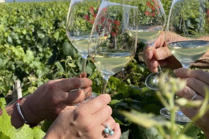 Balade des Grands Crus en e-Mehari et dégustation de Chablis - Exploregion