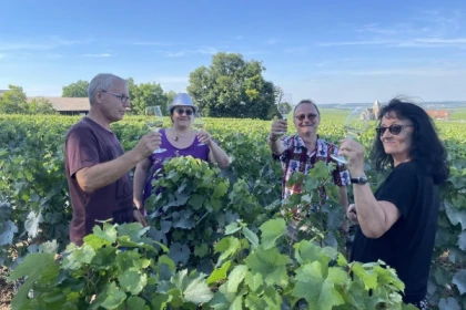 Balade des Grands Crus en e-Mehari et dégustation de Chablis - Exploregion