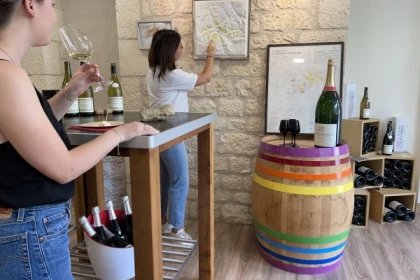 Balade des Grands Crus en e-Mehari et dégustation de Chablis - Exploregion