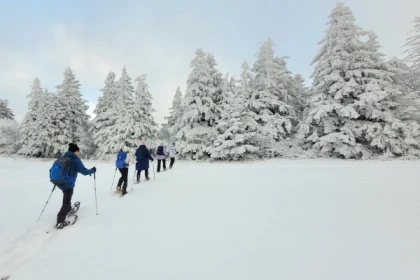 Balade en raquettes matin ou après-midi - Exploregion