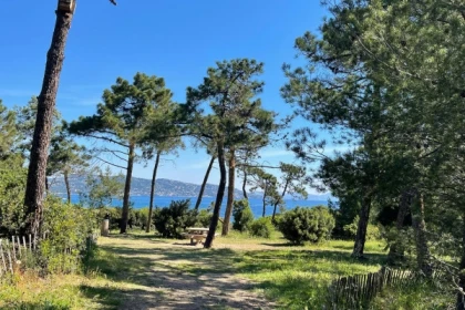 Cours de yoga à Sainte-Maxime l'été face à la mer - Exploregion