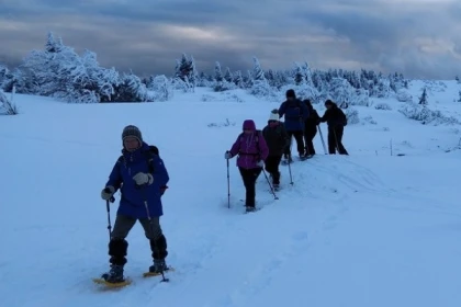 Découverte massif des Vosges - Exploregion