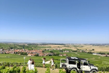 Dégustation Millésimé et balade panoramique, vignoble - Exploregion