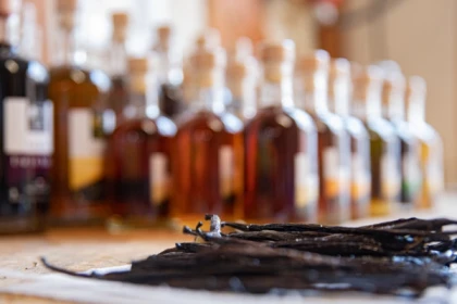 Expérience dégustative et olfactive - Exploregion