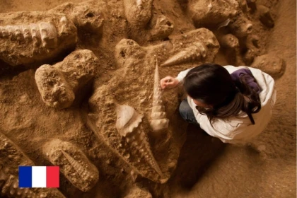 La Cave aux Coquillages, la cave la plus insolite de Champagne - Exploregion